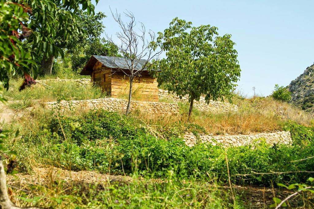 Molino Del Machero Puebla De Don Fadrique Zewnętrze zdjęcie